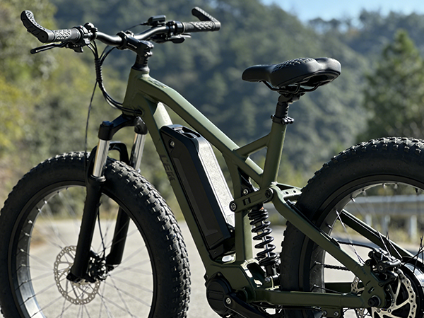 48V eBike Battery Buying Guide 2025